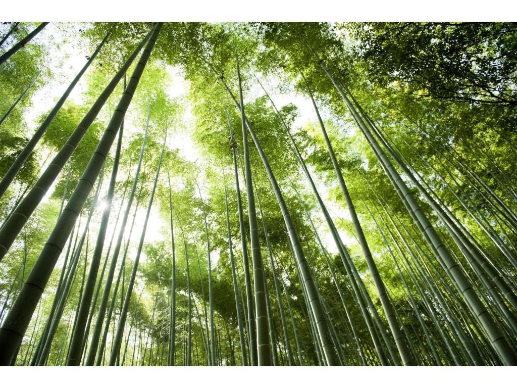 Ranzan Hotell Kyoto Eksteriør bilde